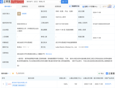 萊克電氣武漢布局新動向:全資子公司盛大開業(yè),瞄準(zhǔn)家電市場新機(jī)遇!