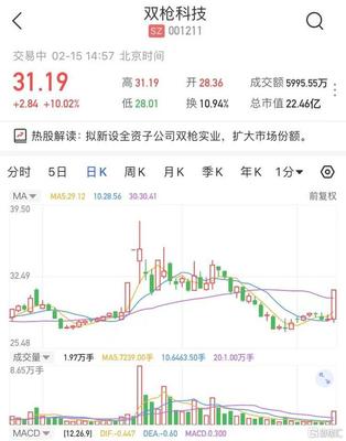 A股異動 雙槍科技(001211.SZ)漲停 擬新設(shè)全資子公司雙槍實(shí)業(yè)